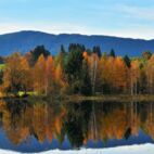 Panorama herbstlicher Allgäu See