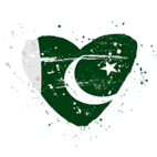 Pakistan flag in the form of a big heart. Von chekart